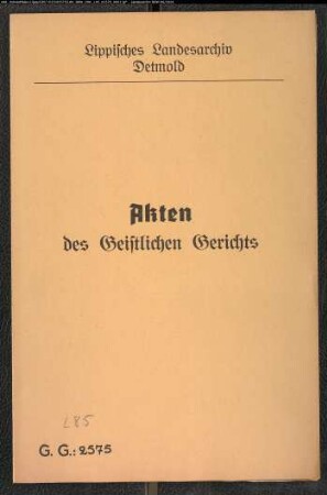Hermann Henrich Exter aus Alverdissen gegen die Philippine Düvel in Alverdissen. Verkauf der Exterschen Güter usw., wegen einer Schulden- und Ehesache