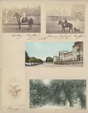 links oben: "Willy" von Nassau rechts oben: Franz Joseph von Nassau Mitte: Biebrich am Rhein links unten: "Franzi" (?) rechts unten: Hauptallee im Park
