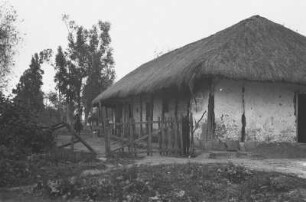Plantage (Lateinamerika-Aufenthalte 1934/1942 - 2. Kolumbien 1934-1937)