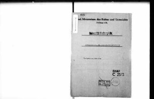Wiedererrichtung des Instituts für Leibesübungen und Besetzung der Leiterstelle