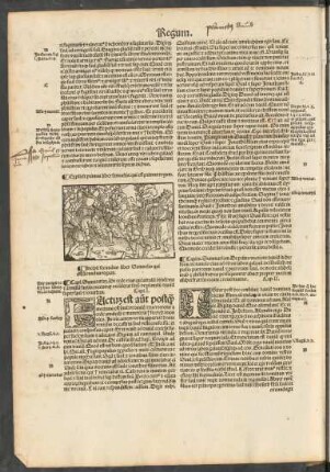 Incipit secundus liber Samuelis qui est secundus regum.