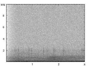 Haubentaucher | Podiceps cristatus - Kontaktruf