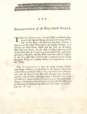 The Description of the Thirty Fourth Plate