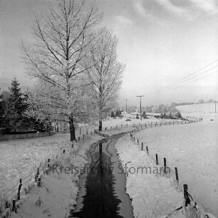 Norderbeste: Zaunpfähle an Uferböschung: hinten links Bäume: rechts Strommast: im Hintergrund Häuser: Winter