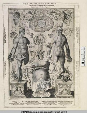 Visio prima.