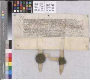 Dieburg: Consensus Adolfi archiepiscopi Moguntine super incorporatione ecclesiae parochialis in Dieppurg ecclesiae collegiatae St. Mariae Virginis...