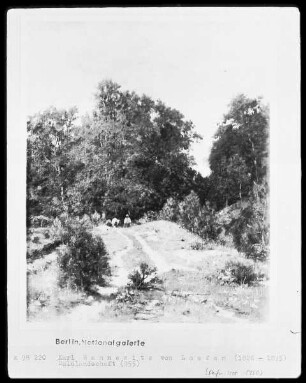 Waldweg