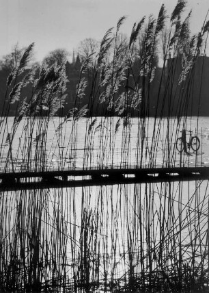 Die Alster im Winter. Sie ist zugefroren