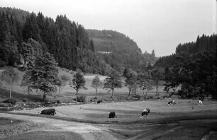Kappel; Gutach: Anfang Gutachtal bei der Brücke Kappel