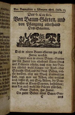 Das 6. Capitel. Von Baum-Gärten, und von Pflanzug allerhand Obst-Bäumen.