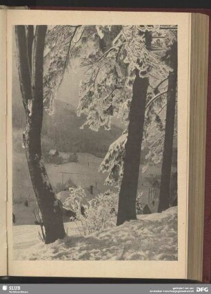 Winter im Gebirge