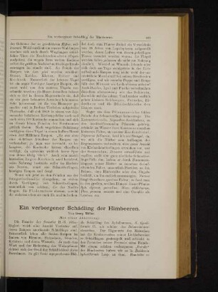 Ein verborgener Schädling der Himbeeren.