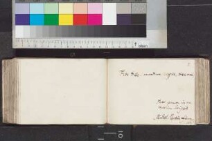 Finn, Michael Martin; Blatt 169