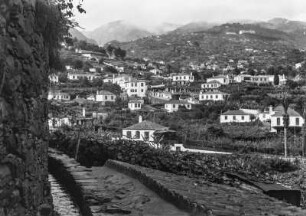Häuser am Hang : Häuser an einem Hang in Funchal.