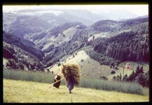 Heuernte im Schwarzwald