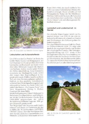 Abb. 11: Ein für die Landschaft typischer Spurplattenweg