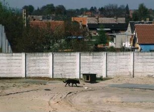 Deutsch-deutsche Grenze : In der Nähe des Grenzübergangs Staaken.