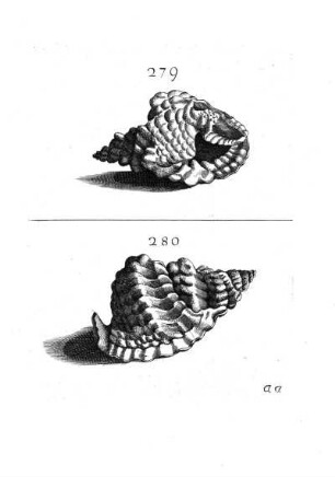 279. - 280.