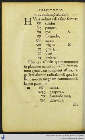 Formæ nominum sexti ordinis.