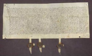 Michael von Rosenberg und seine Ehefrau Agnes bekennen, Philipp Hambrecht, Altaristen zu Grünsfeld, 100 Gulden schuldig zu sein.