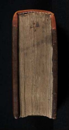 Sermones de tempore et de sanctis cum communi sanctorum et cum aliis sermonibus