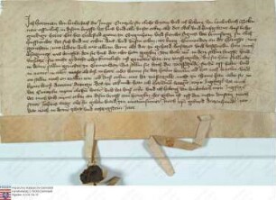 Burg-Gemünden: Versatz der Burg und des Gerichts zu Burg-Gemünden durch die Grafen v. Ziegenhain