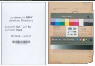 Entnazifizierung Heinrich Stricker , geb. 08.04.1908 (Ingenieur)