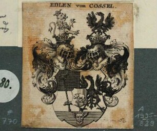 Das Wappen der Familie Cosel