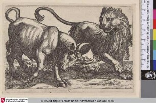 [Löwe und Stier; Lion and Bull]