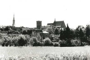 Frankenstein, Stadtansicht : Frankenstein (Zabkowice Slaskie/Polen). Blick auf die Stadt von Norden