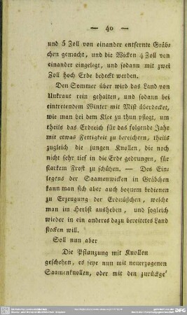Die Pflanzung mit Knollen
