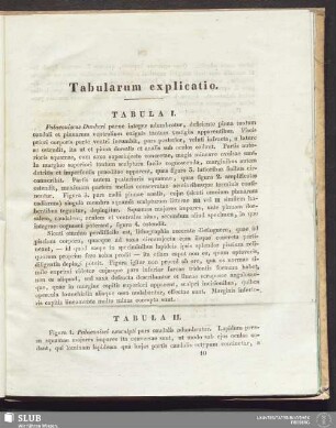 Tabularum explicatio