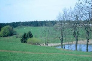 Teich, Bäume, Wiesen und Wald