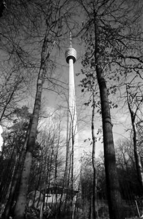 Stuttgart, Degerloch: Stuttgarter Fernsehturm von unten, durch Bäume