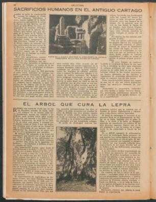 Sacrifícios humanos en el antiguo Cartago