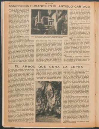 Sacrifícios humanos en el antiguo Cartago