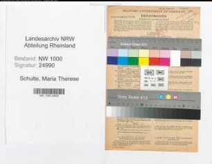 Entnazifizierung Maria Therese Schulte, geb. 02.04.1915 (Buchhalterin)