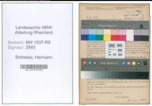 Entnazifizierung Hermann Schlebes , geb. 00.00.0000 (Beamter)
