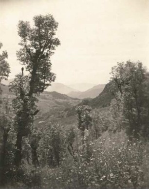 Ostalpen. Sommerliche Landschaft, vermutlich im Überetschgebiet südlich von Bozen