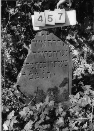 Grabstein 457 (Index: 99791785) Material: Sandstein Zustand: gut, ca. 2/3 der Stele sind weggebrochen Maße HxBxT: 73x57x9 cm Beschreibung: Stele: Grabstein 457