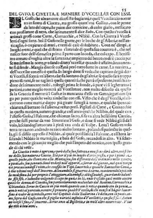 Del Gufo, e Civetta, e Maniere d'Uccelar con Essi