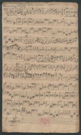 Bassus continuus Organi