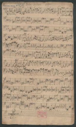 Bassus continuus Organi