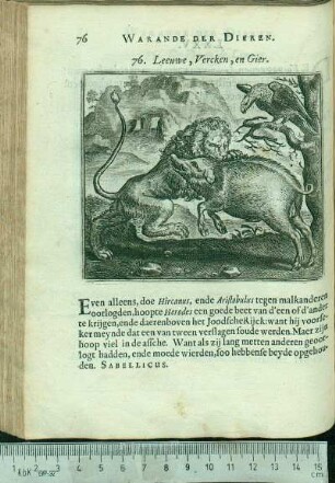 76. Leeuwe, Vercken, en Gier.