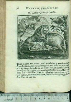 76. Leeuwe, Vercken, en Gier.