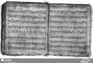 Anonymus: Amor meus pondus meum