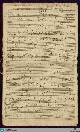 Sonatas - Mus. Hs. 978 : fl, vl, a-vla, bc; G