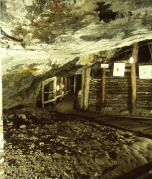 Grünhain-Waschleithe, Am Fürstenberg 6. Schaubergwerk "Herkules-Frisch-Glück" Waschleithe. Durchgang zum See