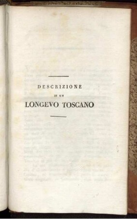 Descrizione di un Longevo Toscano