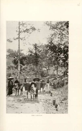 The caravan